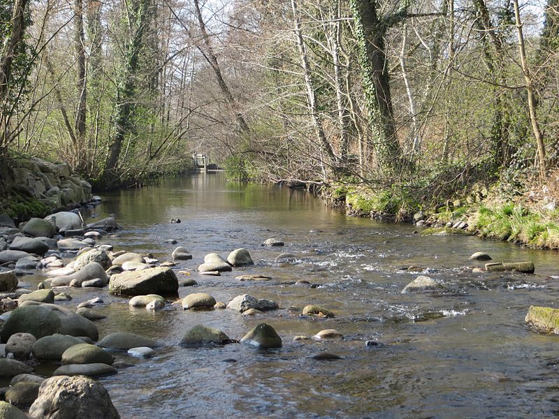 File:Acher Fluss.jpg