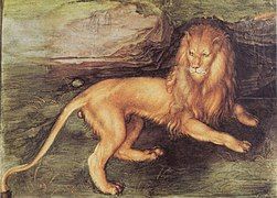 Löwe by Albrecht Dürer, 1494