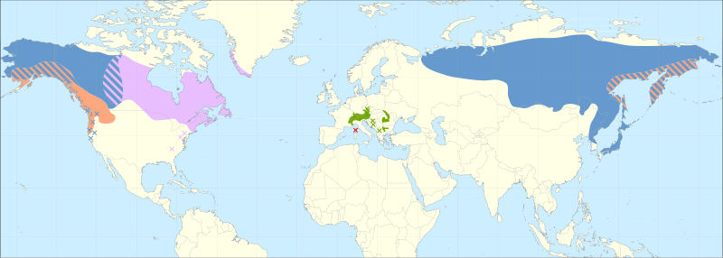 File:Alnus viridis range.svg