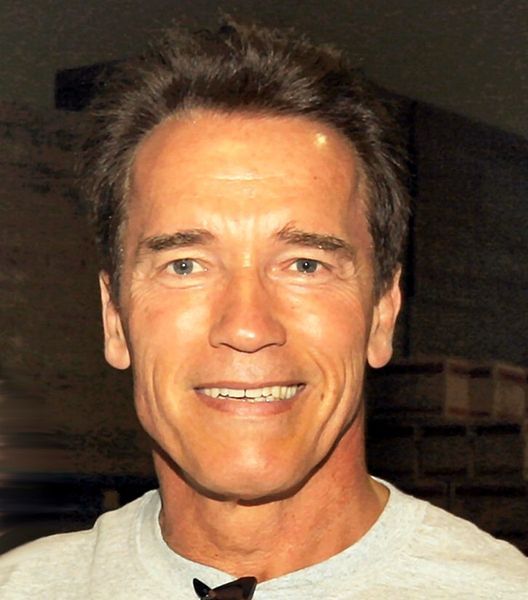 File:Arnold Schwarzenegger edit(ws).jpg