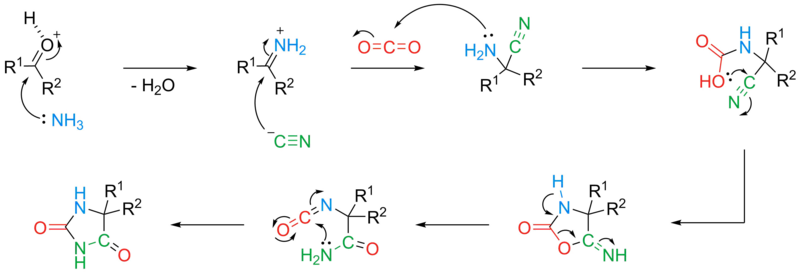 File:Bucherer–Bergs mechanism.png