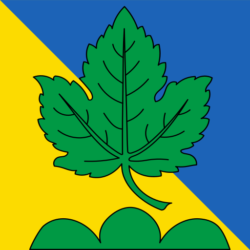 File:CHE Isérables Flag.svg