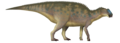 Coahuilasaurus