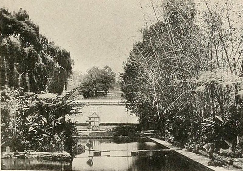 File:Cranbrook pond 1895.jpg