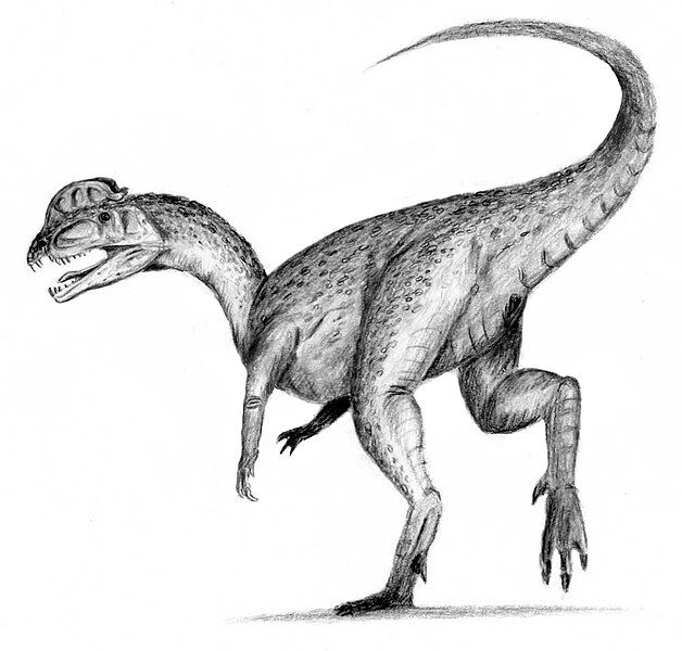 File:Dilophosaurus.jpg