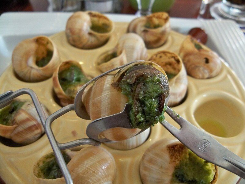 File:Escargots 3.jpg