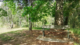 A seating area within the woodland