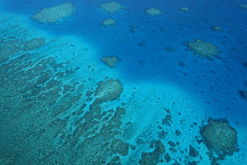 File:Great-Barrier-Reef-2018-Luka-Peternel.jpg