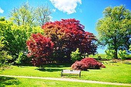 Meadows in Highland Park, designed by Frederick Law Olmsted