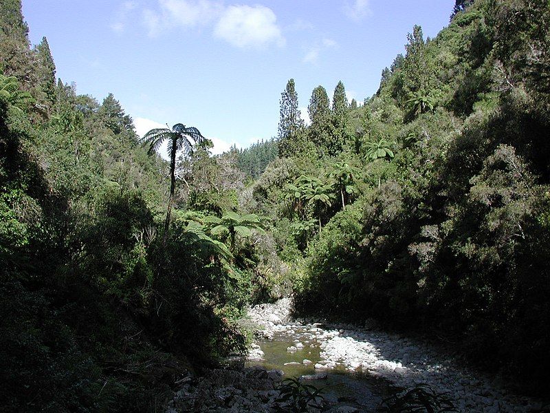 File:Karapoti Gorge.jpg