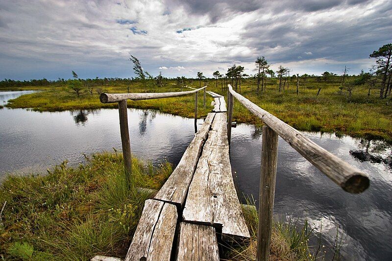 File:Kemeri swamp.jpg