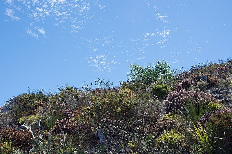 File:Kogelberg Nature Reserve.jpg