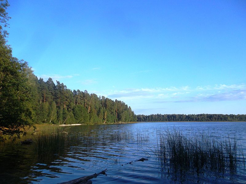 File:Konsu järv1.JPG