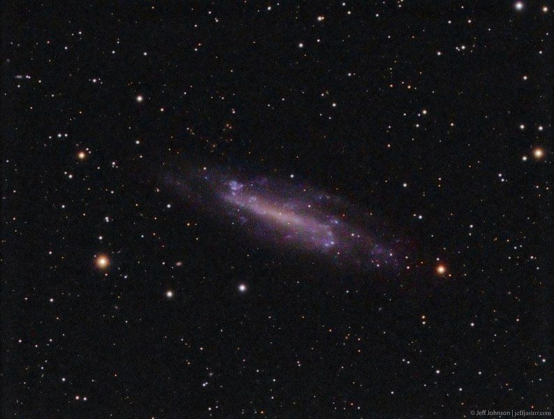 File:NGC4236 JeffJohnson.jpg