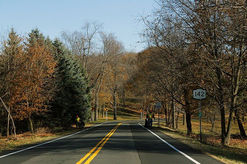 File:NY142seSignRoadCurve (31058987576).jpg