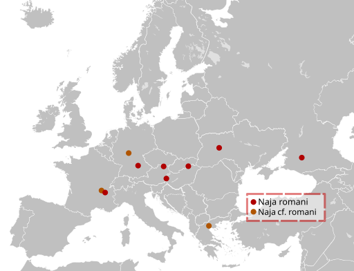 File:Naja romani map.svg