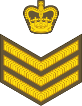 File:New Zealand-Army-OR-7.svg