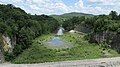 Creek bed below dam