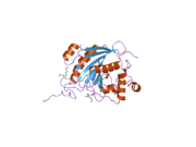 2fy7: Crystal structure of the catalytic domain of the human beta1,4-galactosyltransferase mutant M339H in apo form