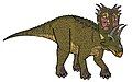 Pentaceratops.