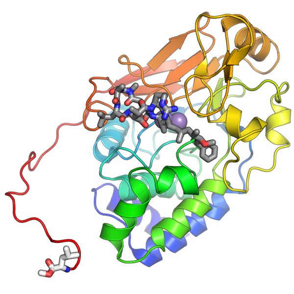 File:Pp2a 2iae chainCM.png