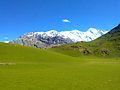 Qaqlasht meadows during a sunny day.