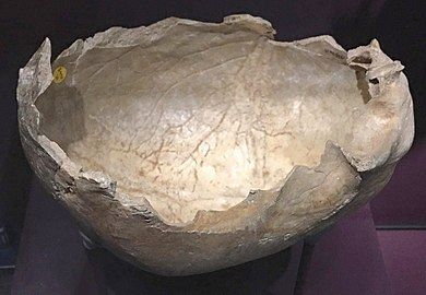 Human skull cup from Gough's Cave, England