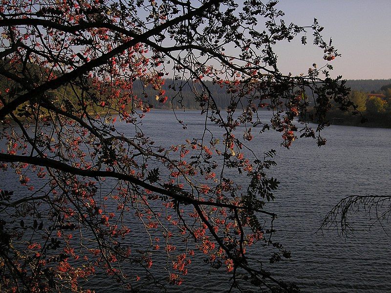 File:Stausee Bütgenbach.JPG