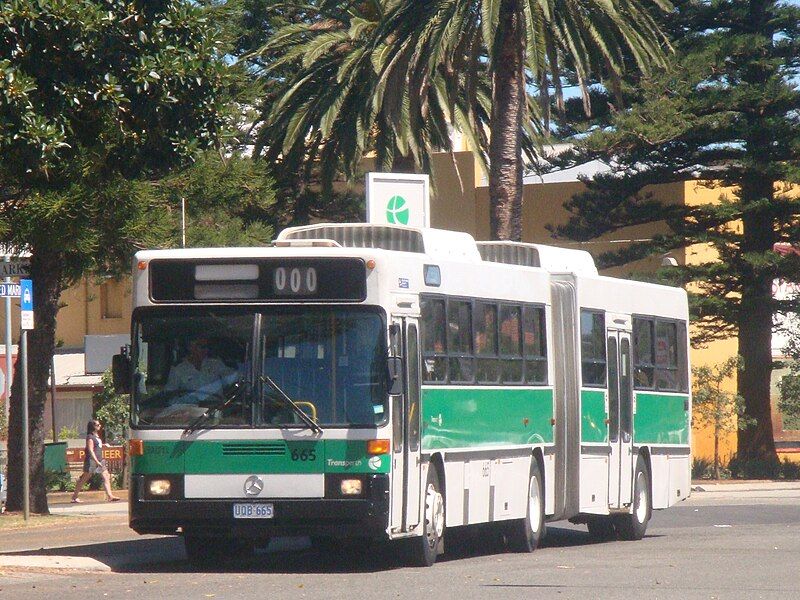 File:Transperth-MB-O305G-2Gen.JPG