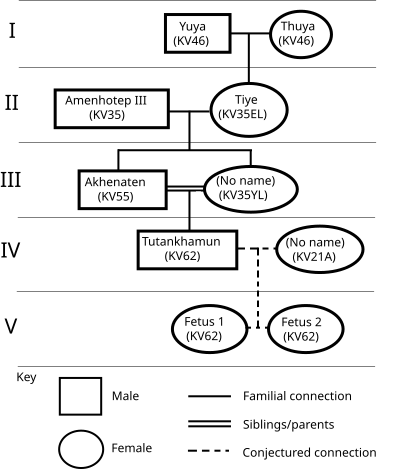 File:Tutankhamun'sAncestry-MostProbableGeneticLineage.svg