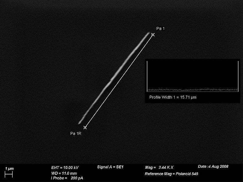 File:Wire15micron.jpg