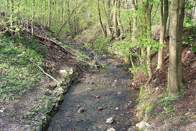 File:Wuppertal Eulenkopfweg 003.jpg