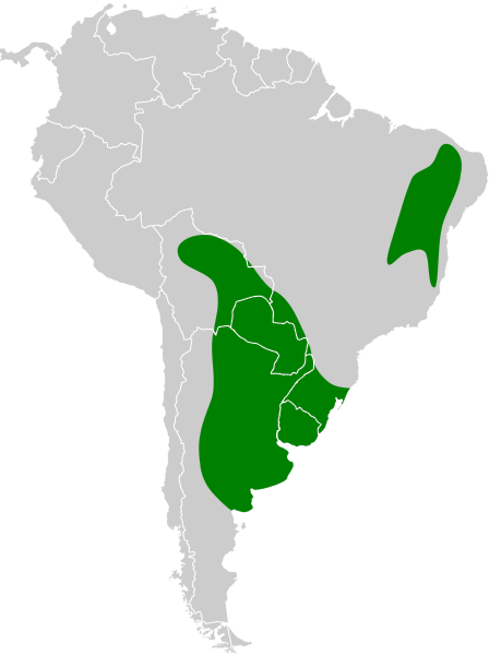 File:Xolmis irupero map.svg