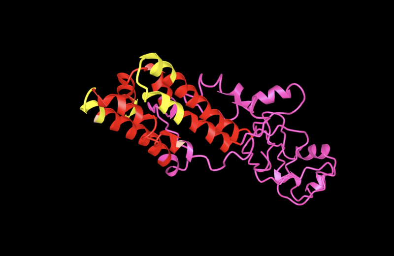 File:YIF1A tertiary structure.png