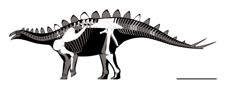 Yingshanosaurus