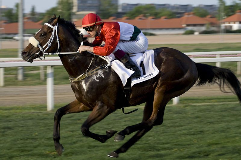 File:20090419 Overdose Soumillon.jpg