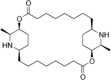 Skeletal formula of carpaine