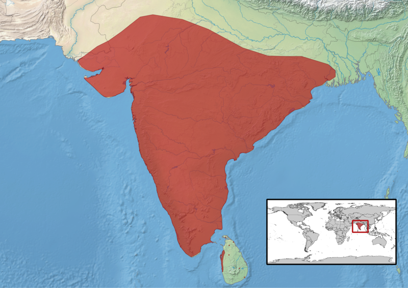 File:Chamaeleo zeylanicus distribution.png