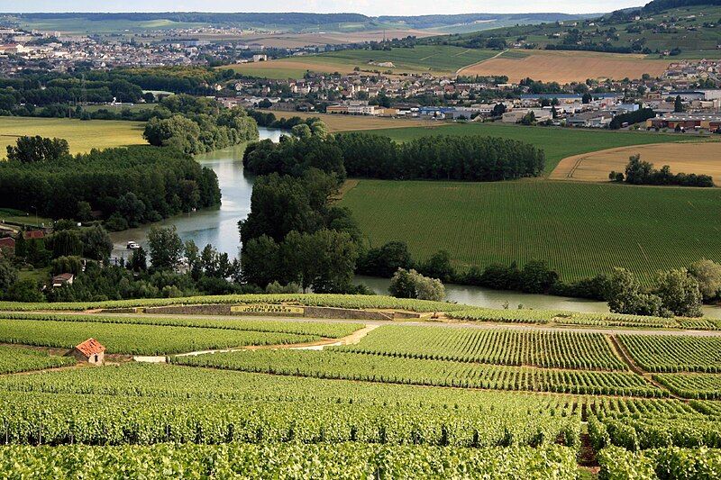 File:Champagne Vineyards.jpg