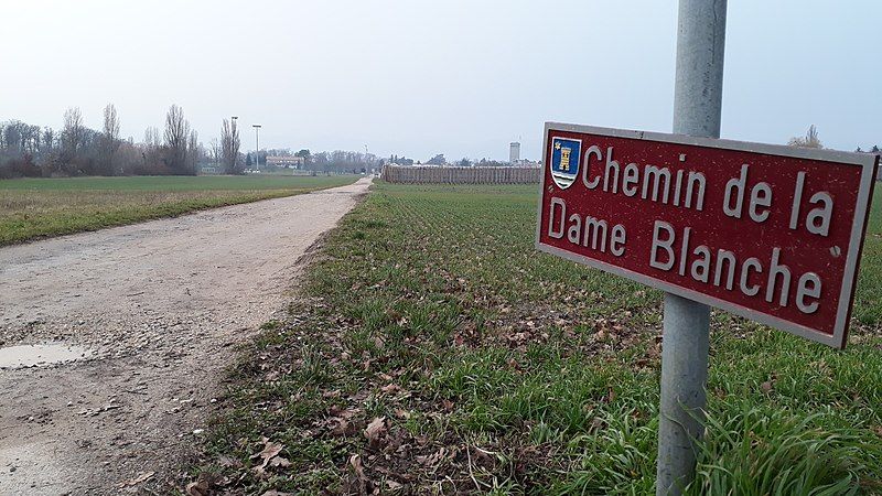 File:CheminDeLaDameBlanche Rouelbeau-Meinier-Geneva RomanDeclert20210206.jpg