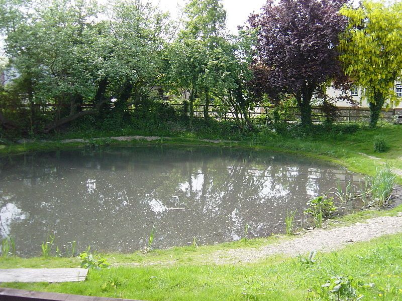 File:Clanfieldpond.jpg