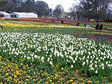 Floriade, Canberra, 2005