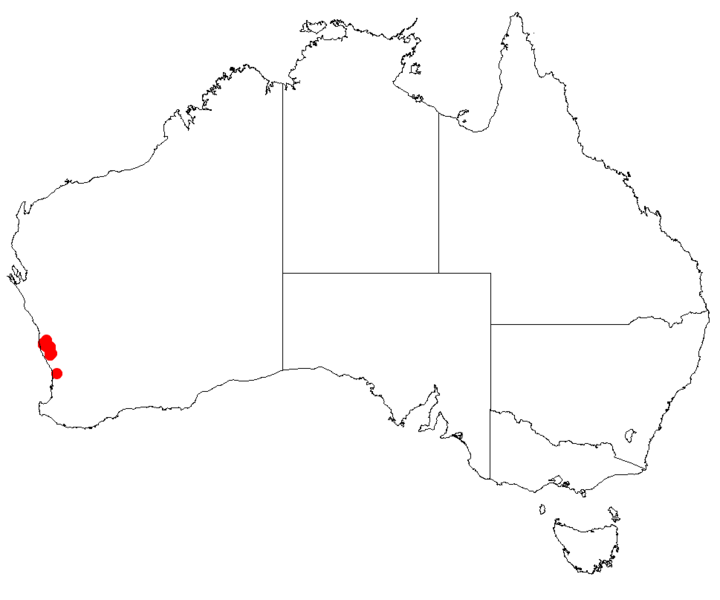 File:Hakea longifloraDistMap76.png