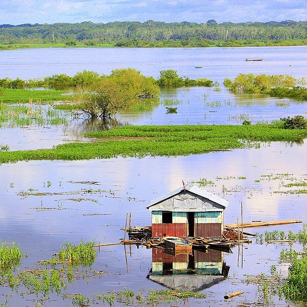 File:Iquitos amazónico.jpg