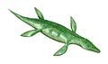 Kronosaurus, a pliosaur from Australia, 15 m