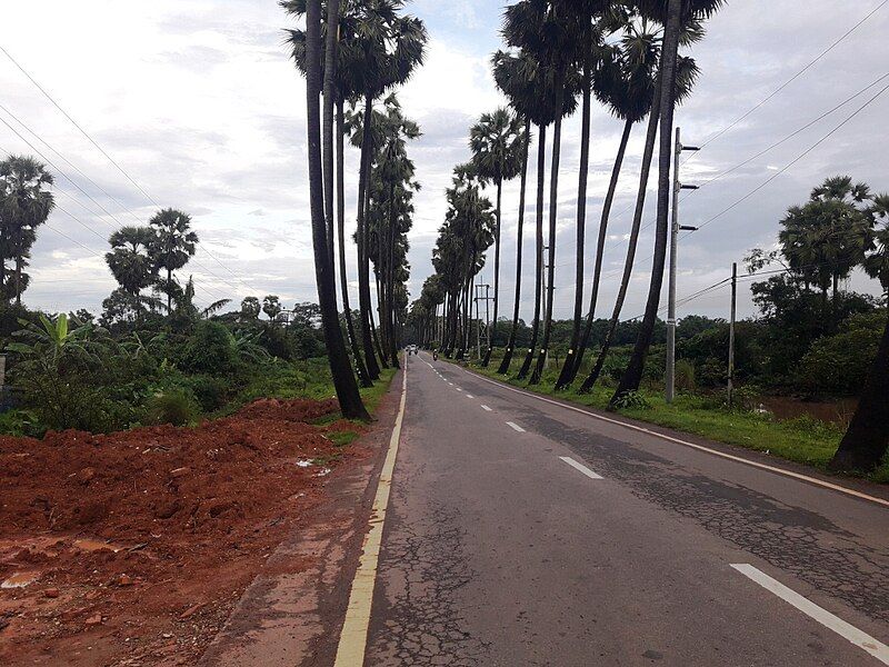 File:Kyaikmaraw Township, Myanmar.jpg