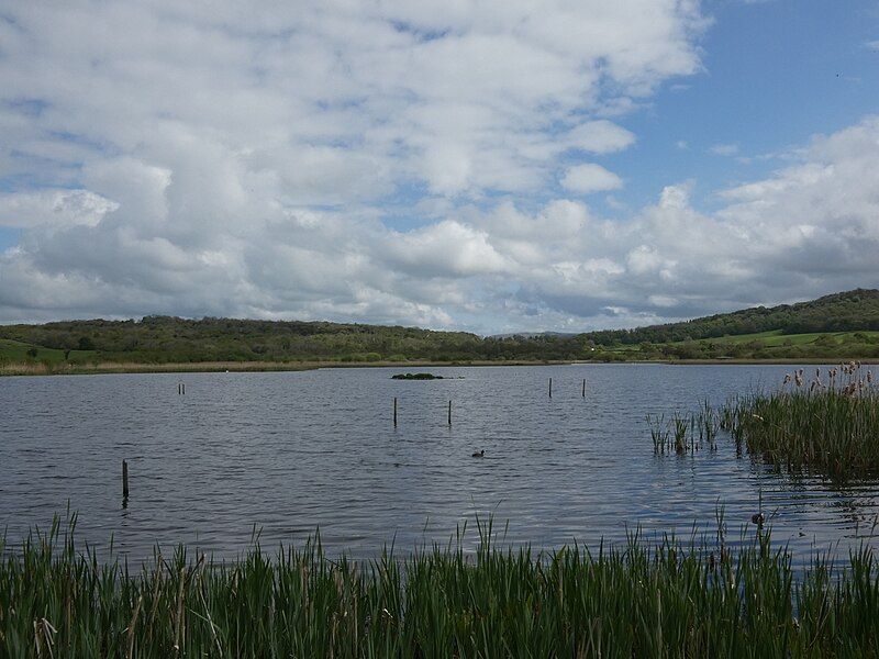 File:Leighton Moss Causeway.jpg