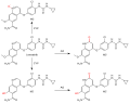 Lenvatinib metabolism