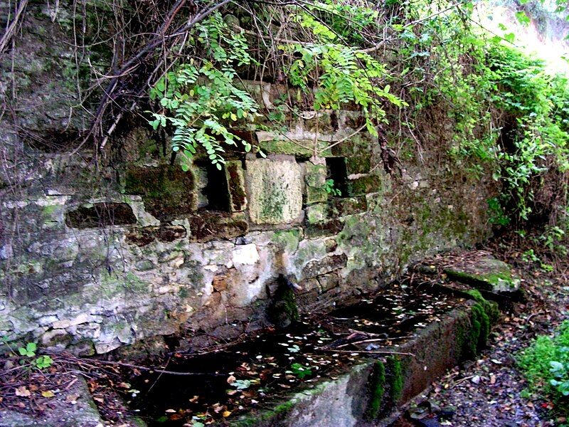 File:Mita's Fountain Brusnik.JPG