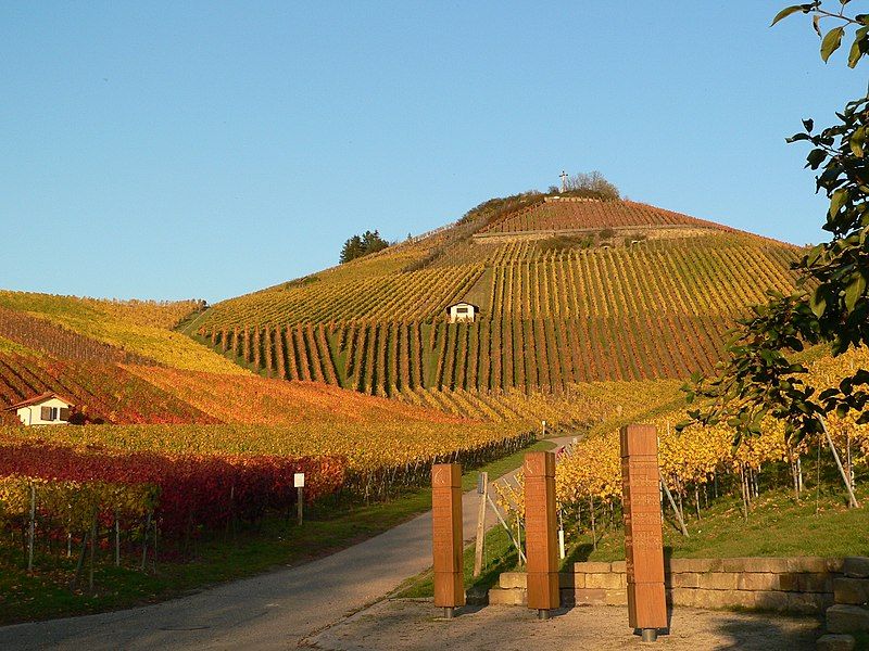 File:Neckarsulm Weinberge.JPG